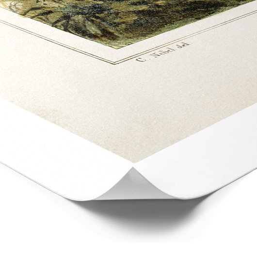 Poster El Hacendero (Coin)