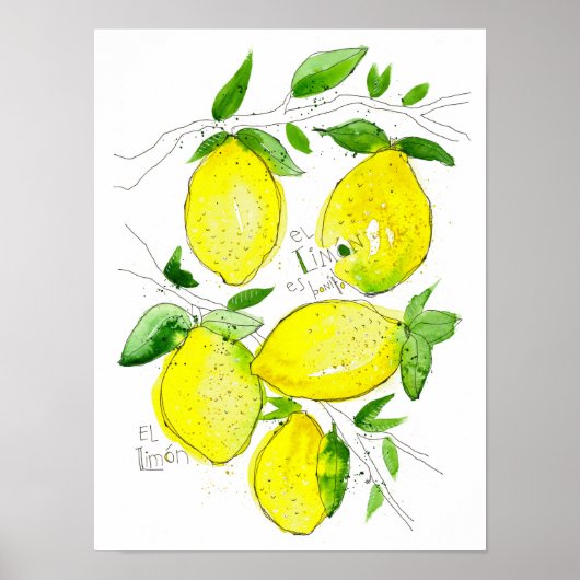 Poster El Limon (Devant)