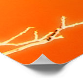 Poster El Paso (Coin)