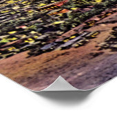 Poster El Paso, Texas Birdseye Night 1940 (Coin)