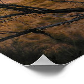 Poster El Pico Moonrise - Big Bend, Texas (Coin)