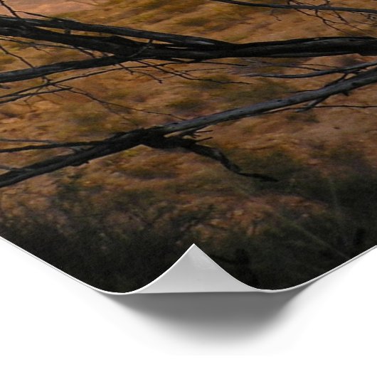 Poster El Pico Moonrise - Big Bend, Texas (Coin)