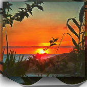 Poster El Rio Pitillal 2009 Imprimer