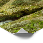 Poster Elakala Falls #2, Virginie-Occidentale (Coin)