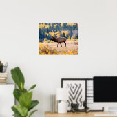 Poster Élan dans le parc national de Rocky Mountain, Colo (Bureau à domicile)