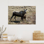 Poster Élan femelle d'Alaska avec son petit (Cuisine)
