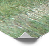 Poster Élan femelle et ses petits E3 (Coin)