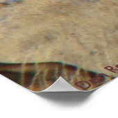 Poster Élan mâle E24 (Coin)