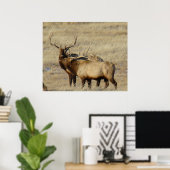 Poster Élan mâle E24 (Bureau à domicile)