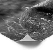 Poster Élan noir et blanc, photo, cabine moderne rustique (Coin)