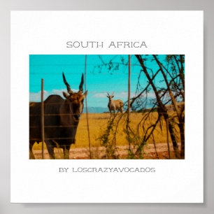 Poster Eland Antelope Animal Afrique du Sud ZA
