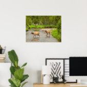 Poster Élans traversant la rivière Colorado (Bureau à domicile)