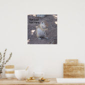 Poster Élargissement de l'affiche de l'écureuil (Cuisine)