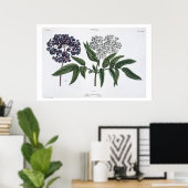 Poster Elder, fig. 13 de "The Young Landsman", publie (Bureau à domicile)