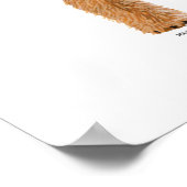 Poster Élections irlandaises Terrier (Coin)