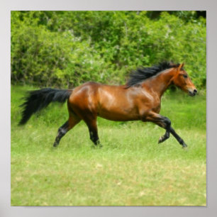 Poster Electrichorse