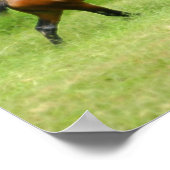 Poster Électricité (Coin)