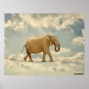 Poster Elefante