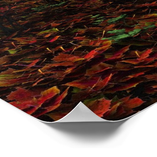 Poster Élégance (Coin)