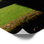 Poster Élégance baroque (Coin)