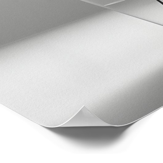 Poster Élégance botanique minimaliste (Coin)