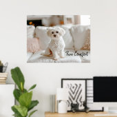 Poster Elégance cosy : Maltais sur le canapé (Bureau à domicile)