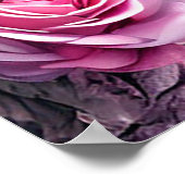 Poster Élégance de la colombe blanche avec des roses rose (Coin)