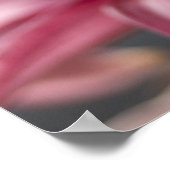 Poster Élégance floue : Pink Asiatic Lily Flower Photo (Coin)