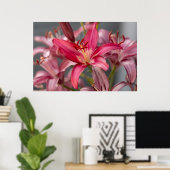 Poster Élégance floue : Pink Asiatic Lily Flower Photo (Bureau à domicile)