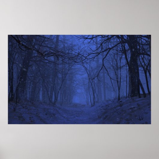 Poster Elégance (hiver/nuit) (Devant)