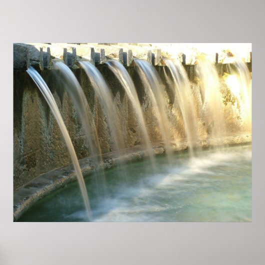 Poster Élégance II (Devant)