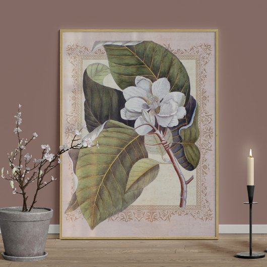 Poster Élégance Sud Vintage Magnolia botanique