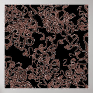 Poster Élégance venimeuse