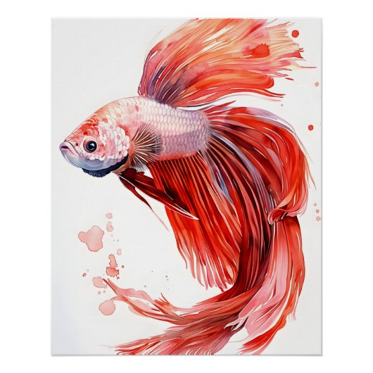 Poster Elégant Betta Fish - Aquarelle Imprimer Siamais (Devant)