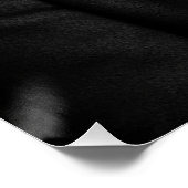 Poster Elegant Border Collie in Cloche Hat & Bow (Coin)