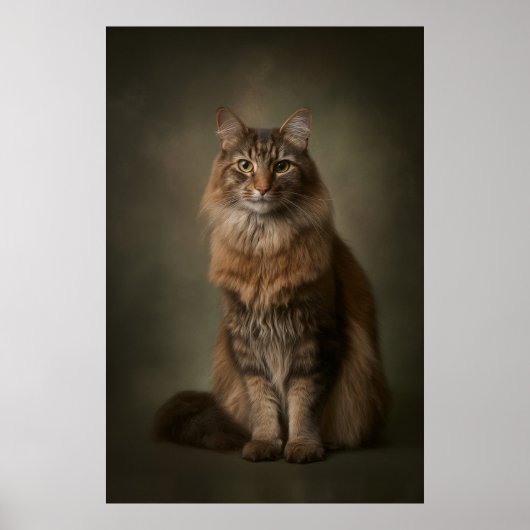 Poster Elegant Cat Studio Portrait (Devant)
