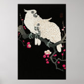Poster Elégant Cockatoos & Plum Blossom - Art Japonais (Devant)