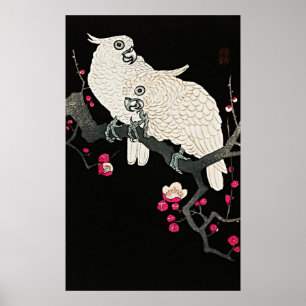 Poster Elégant Cockatoos & Plum Blossom - Art Japonais