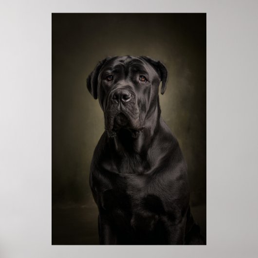 Poster Elegant Dog Silhouette (Devant)