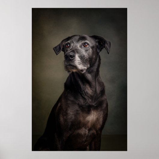 Poster Elegant Dog Silhouette (Devant)