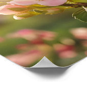 Poster Elégant Esprit animal : Hummingbird in Flight (Coin)