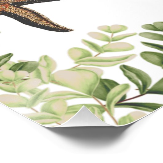 Poster Elégant Eucalyptus Beach Starfish Wedding Programm (Coin)