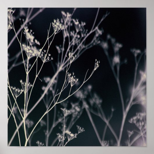 Poster Élégant floral foncé Abstrait (Devant)