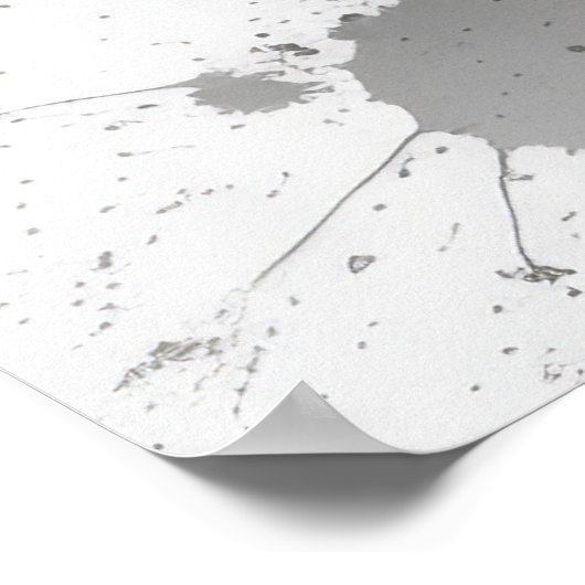 Poster Élégant Koi Poisson Étang noir Stroke plat Illustr (Coin)