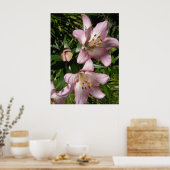 Poster Élégant Lys De Tigre Rose (Cuisine)