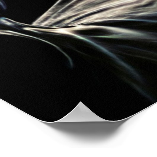 Poster Elégant Mandala (Coin)