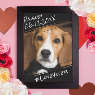 Poster Élégant Moderne Simple Noir Garde Chien 