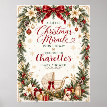 Élégant panneau d'affiche de Baby Shower de Noël