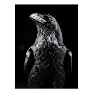 Poster Elegant Raven Minimalist Black and White Portrait