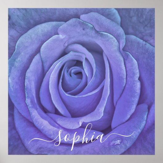 Poster Élégant Rose Flower Photo Ajouter un nom (Devant)